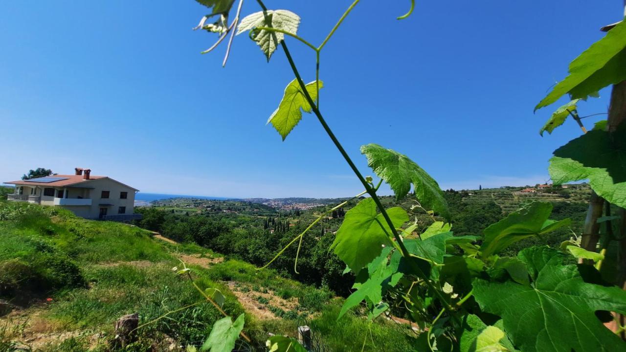 Apartma Bajc Sečovlje Esterno foto