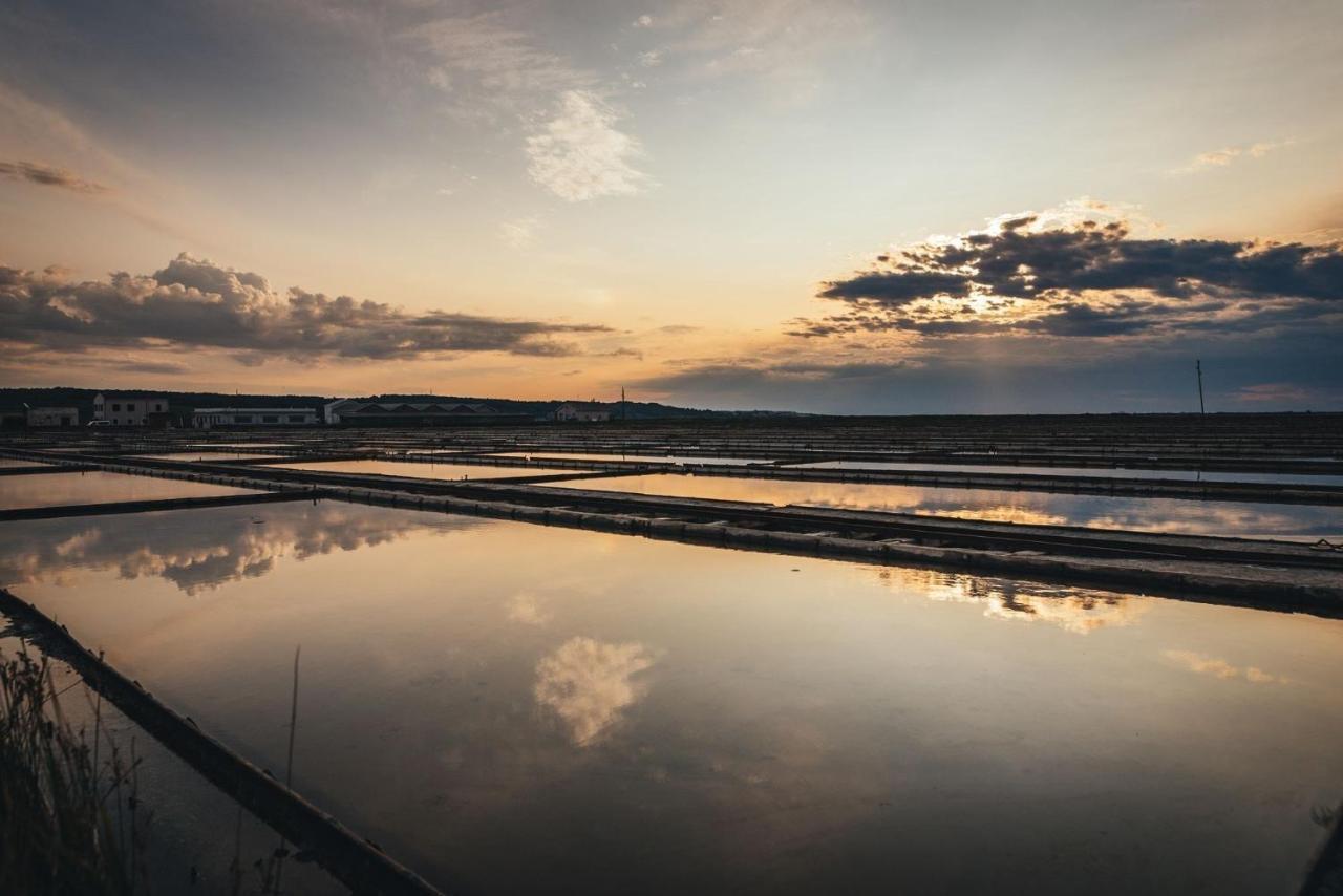 Apartma Bajc Sečovlje Esterno foto